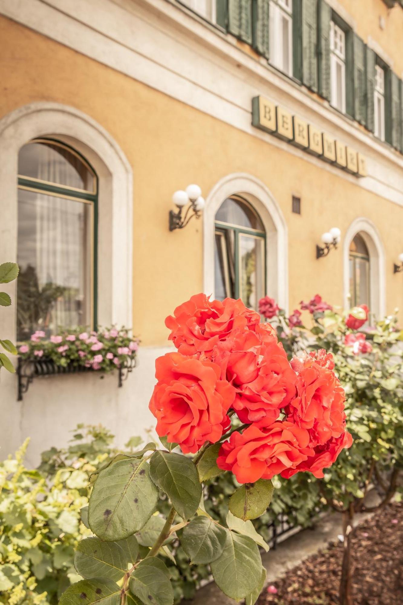 Hotel Bergwirt Schoenbrunn Відень Екстер'єр фото